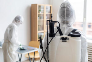 BLOG 5 Cómo elegir una empresa de fumigación de chinches en Barcelona