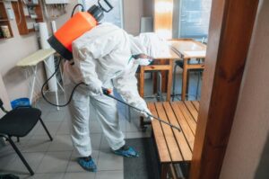 BLOG 13 emoresa de fumigación en barcelona