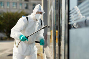 Control de plagas en Barcelona: cuándo es necesario un tratamiento profesional 1 servicio de control de plagas en barcelona