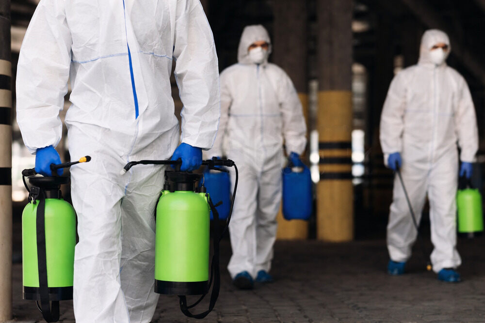 Fumigar en Barcelona: qué incluye un servicio profesional 5 fumigar en barcelona