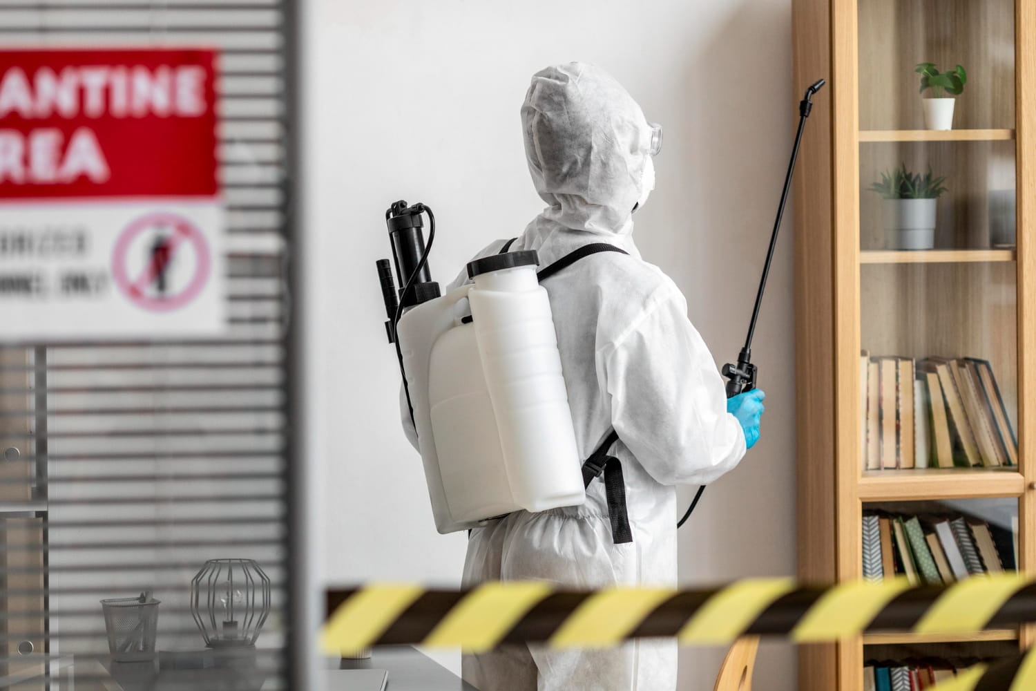 BLOG 28 qué hacer después de fumigar una casa en Barcelona