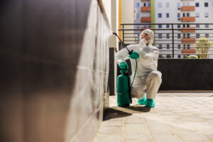BLOG 33 Cada cuánto hay que fumigar una vivienda o local en Barcelona