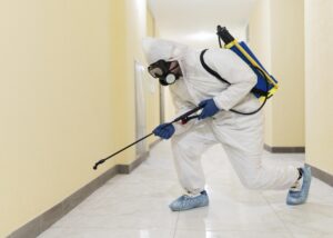 Cada cuánto hay que fumigar una vivienda o local en Barcelona 1 Diferencia entre fumigación puntual y mantenimiento preventivo